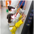 으뜸태권도 이미지