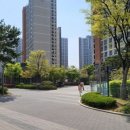 삼성나노시티의원 네이버블로그