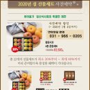 바이올가 네이버블로그