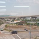 영당구장 이미지