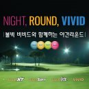 비비드 진