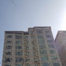 신평동1118 이미지