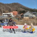 일산동구 관내 소방시설 | 파주 초리골 눈썰매장 얼리버드티켓 구매 후 완전정복