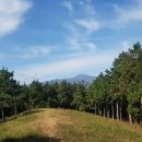 토종흑염소농장 이미지