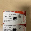 뮤지컬 <헬렌앤미> | 베리어프리 뮤지컬 헬렌 앤 미 관람 후기