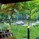카페2426 이미지