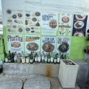 타이그랜파 이미지