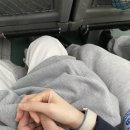 다원하개 | 구례/하동 여행 2박 3일 코스, 가볼만한 곳 정리 (+ 쏘카 사고 보험처리 후기ㅎ)