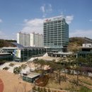 이동4공원 공영주차장 이미지