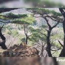 ◇ 2022.04.10(일) 어쩌다 '수리산' 종주! - 또 한번의 '무(모)한도전' 이미지