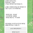 과일숲아름점 | 5월 네? 내 블로그