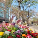 마북근린공원 이미지