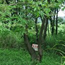 장동 어린이공원 이미지