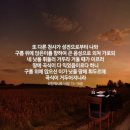 새창조 이미지
