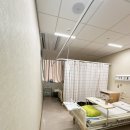 푸르고드림 | [Ep.2] 삼성서울병원 난소낭종(자궁내막종) 로봇수술 상세후기