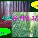781 卯의 새로운 비밀 2/2 이미지