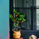 (유)신촌 이미지