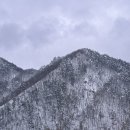 세형이네 | 몸건강 정신건강 ; 양양 여행