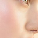 리얼미의원 이미지