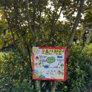 캠프해리 | 🌿 제주 다랑쉬오름 근처 숙소 캠프해리 숙박 후기