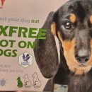 영천심야약국 이미지