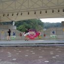 지호버드