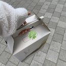 정한약국 | [임신준비 #2] 다낭성난소증후근의 자연임신 준비 / 스마일배테기 / 페마라정