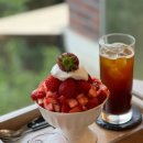 충실 태양광발전소 이미지