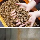 (주)뉴트리온 Daum카페