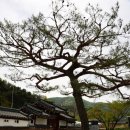 조곡리 | 휴일에 아내와 경산(慶山)을 가다. - 2. 조곡서원(早谷書院)과 보본재(報本齋)