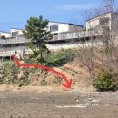 풀빌라 키즈토이 | 사천 갯벌 펜션 구공스테이 안토이비토 키즈 풀빌라