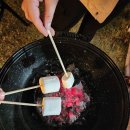 코커스101 이미지