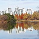 일산호수공원 이미지