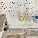 벤덤 풀빌라 펜션 이미지