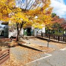 천문대오토캠핑장 이미지