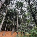 지산리구판장 | 영축산을 오르다