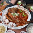 코다리명가가화