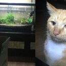 부원약국 이미지