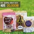 영어조합법인해맑은화진포 이미지