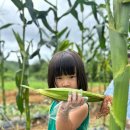 성황림마을 이미지