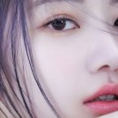 사쿠라PC 이미지