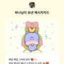 와일드애드