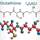 글루타치온의 비밀 이미지