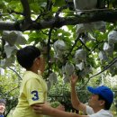 현대사슴농장 이미지