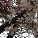 소망식품 이미지