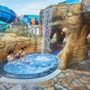 스파밸리 이미지