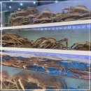 묵호수산 이미지