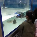 남국어린이집 이미지