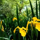 준석열 참교육ㅋ 펨코 허위사실 신고! 뉴스타파 &#34;이준석 여론조사 조작 첫 확인&#34; (기승전 이재명 비난.. 신인규 허은아 토론 일침) 이미지