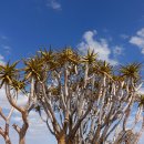 화석농장 이미지